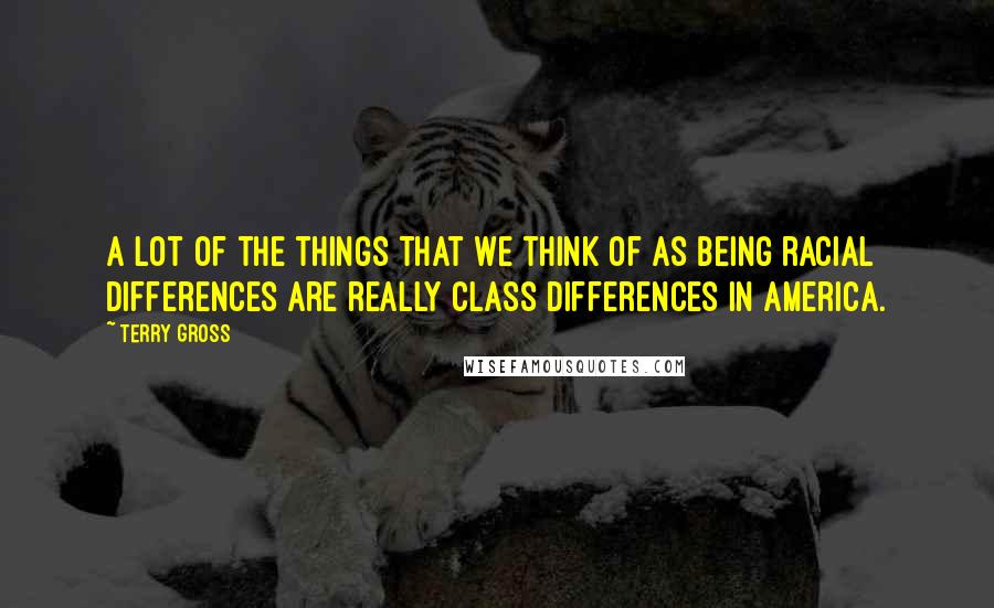 Terry Gross Quotes: A lot of the things that we think of as being racial differences are really class differences in America.