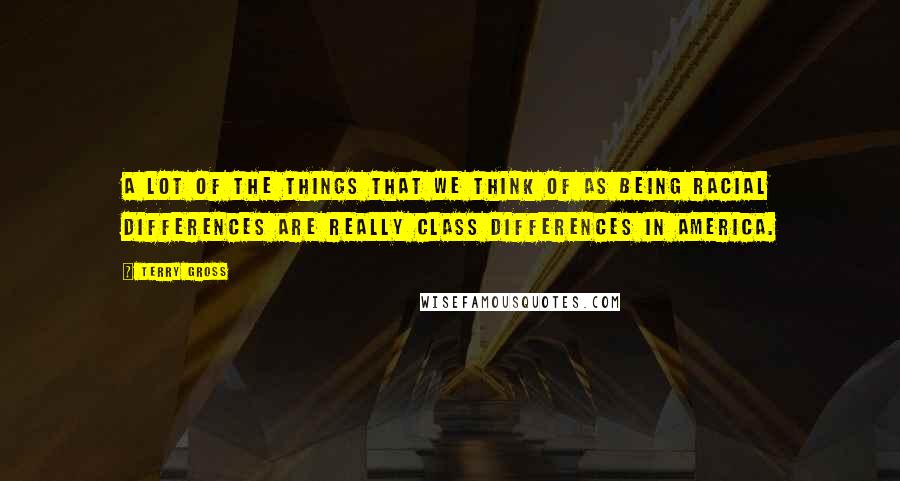 Terry Gross Quotes: A lot of the things that we think of as being racial differences are really class differences in America.