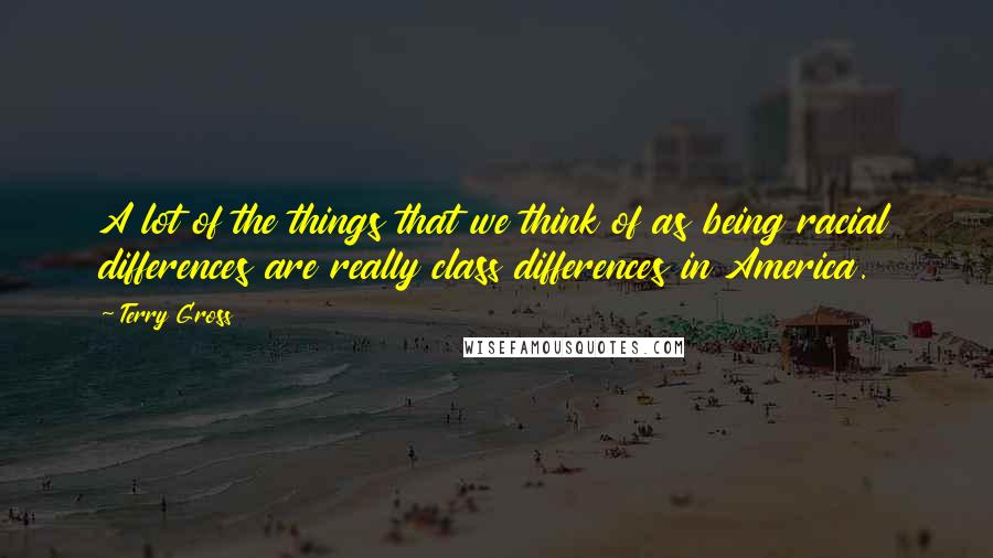 Terry Gross Quotes: A lot of the things that we think of as being racial differences are really class differences in America.