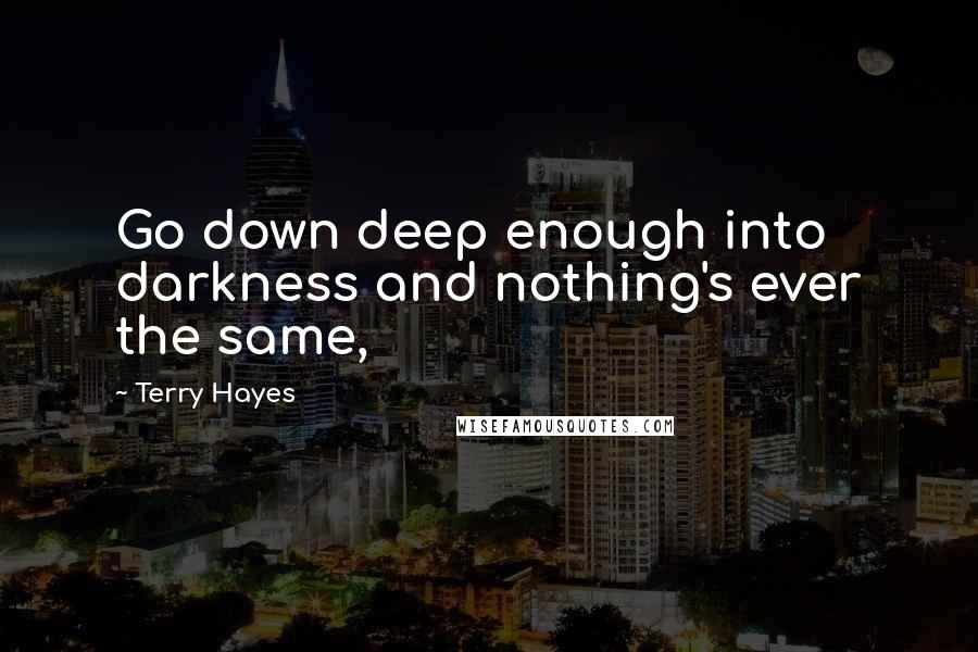 Terry Hayes Quotes: Go down deep enough into darkness and nothing's ever the same,