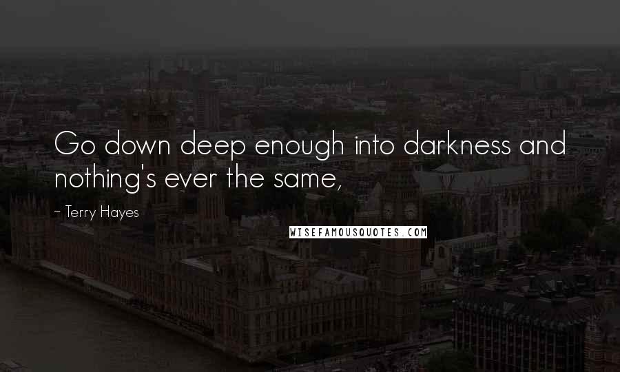 Terry Hayes Quotes: Go down deep enough into darkness and nothing's ever the same,