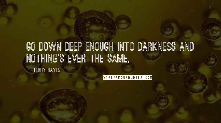 Terry Hayes Quotes: Go down deep enough into darkness and nothing's ever the same,