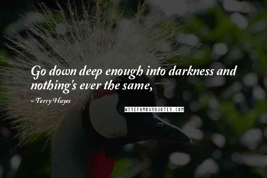 Terry Hayes Quotes: Go down deep enough into darkness and nothing's ever the same,