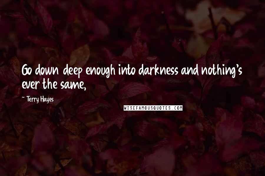 Terry Hayes Quotes: Go down deep enough into darkness and nothing's ever the same,