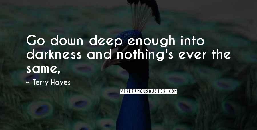 Terry Hayes Quotes: Go down deep enough into darkness and nothing's ever the same,