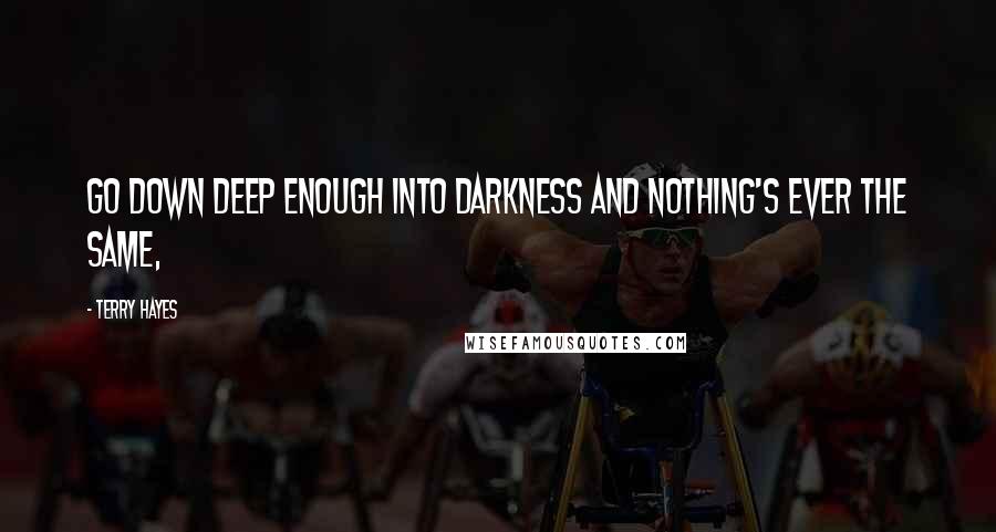 Terry Hayes Quotes: Go down deep enough into darkness and nothing's ever the same,