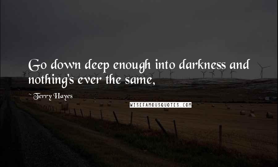 Terry Hayes Quotes: Go down deep enough into darkness and nothing's ever the same,