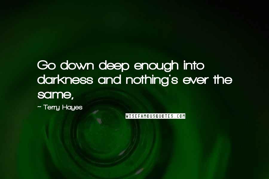 Terry Hayes Quotes: Go down deep enough into darkness and nothing's ever the same,