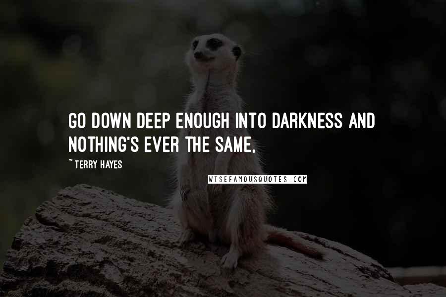 Terry Hayes Quotes: Go down deep enough into darkness and nothing's ever the same,