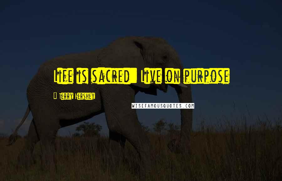 Terry Hershey Quotes: Life is sacred: Live on purpose