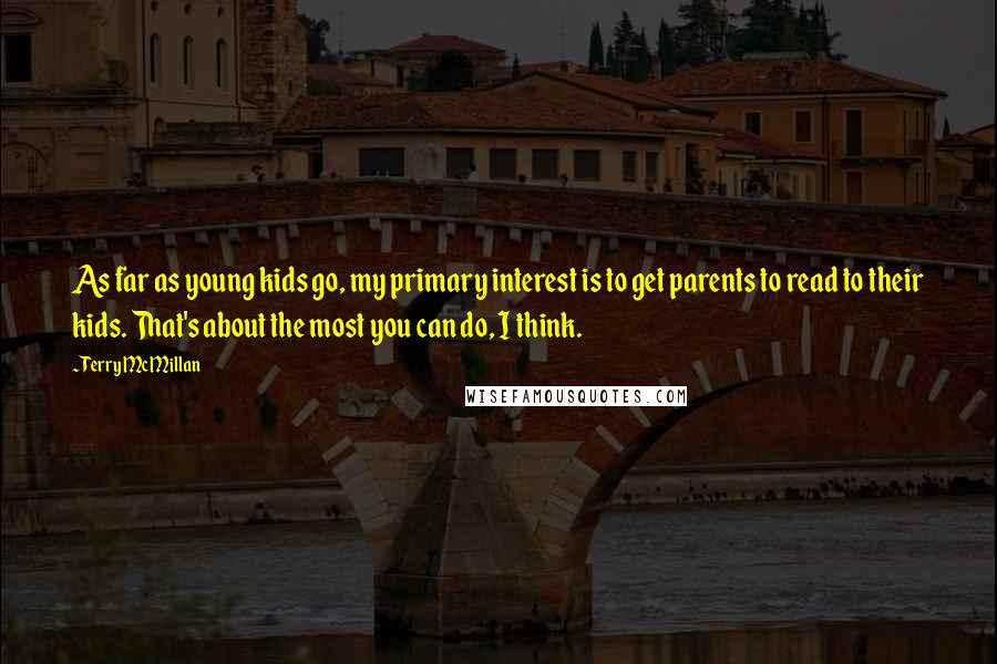 Terry McMillan Quotes: As far as young kids go, my primary interest is to get parents to read to their kids. That's about the most you can do, I think.