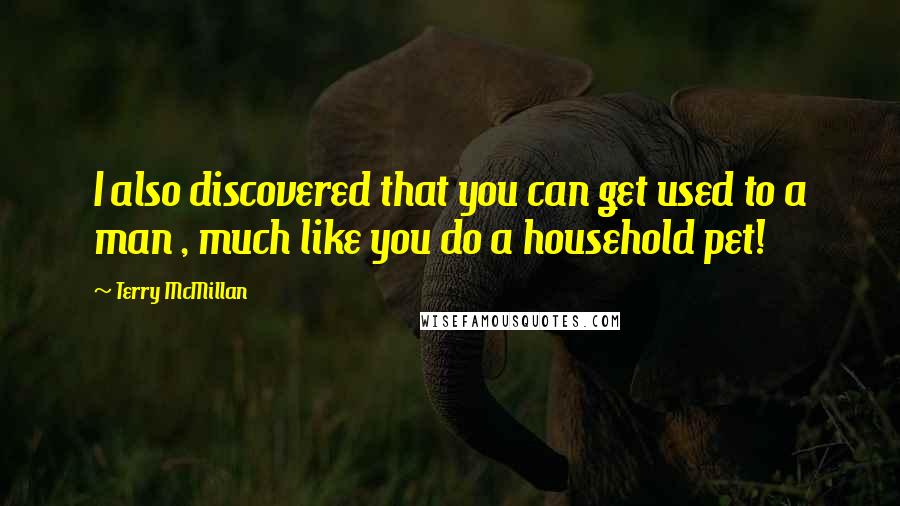 Terry McMillan Quotes: I also discovered that you can get used to a man , much like you do a household pet!