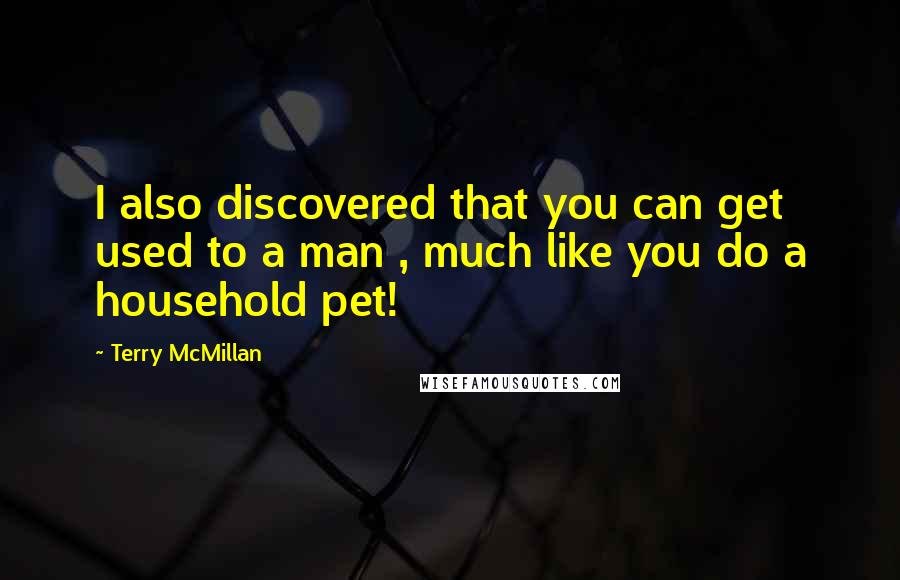 Terry McMillan Quotes: I also discovered that you can get used to a man , much like you do a household pet!