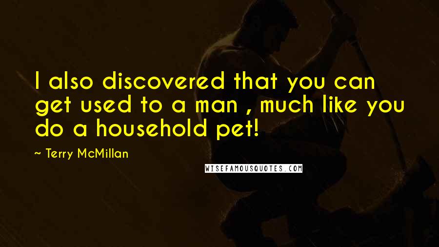 Terry McMillan Quotes: I also discovered that you can get used to a man , much like you do a household pet!