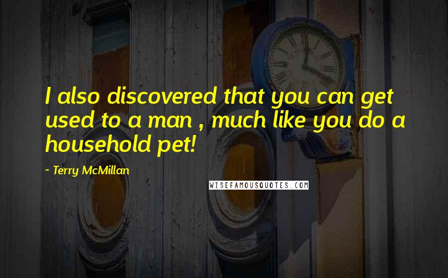 Terry McMillan Quotes: I also discovered that you can get used to a man , much like you do a household pet!