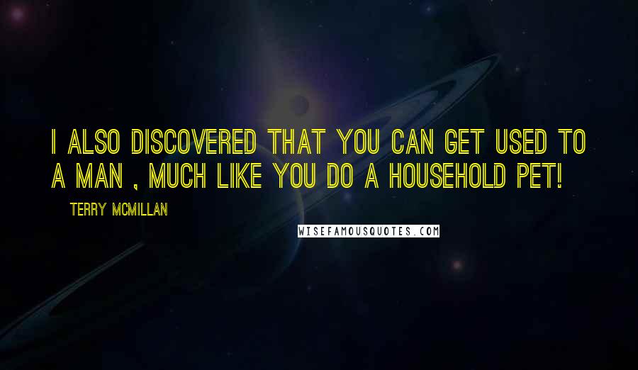 Terry McMillan Quotes: I also discovered that you can get used to a man , much like you do a household pet!