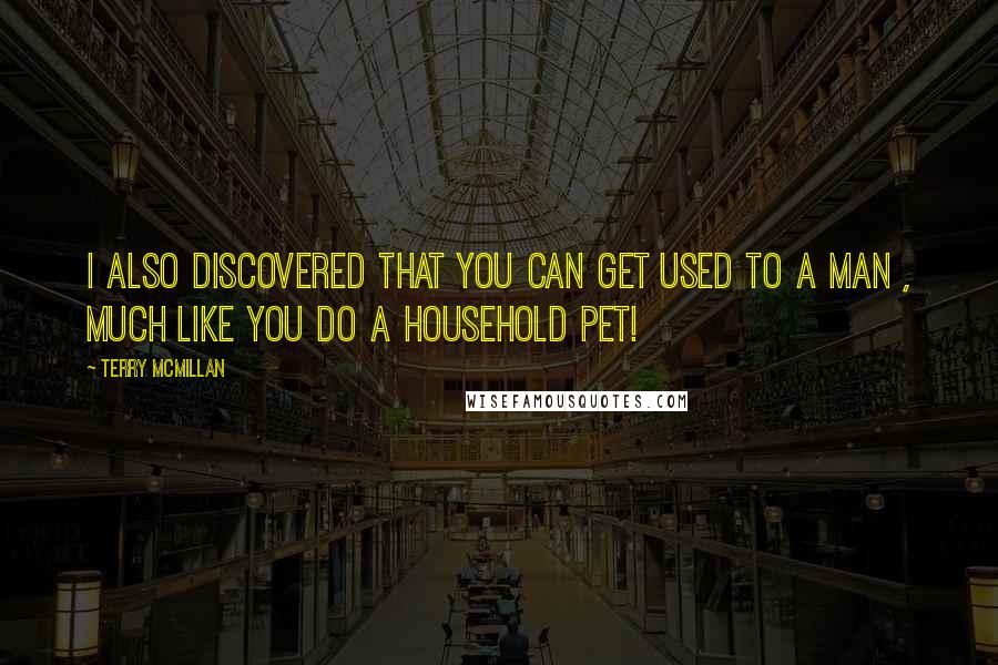 Terry McMillan Quotes: I also discovered that you can get used to a man , much like you do a household pet!