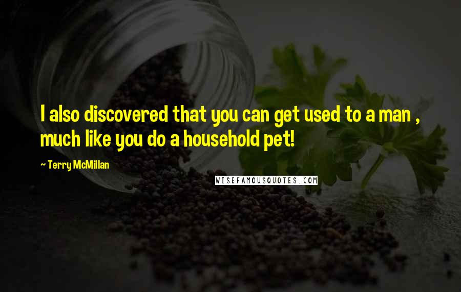Terry McMillan Quotes: I also discovered that you can get used to a man , much like you do a household pet!