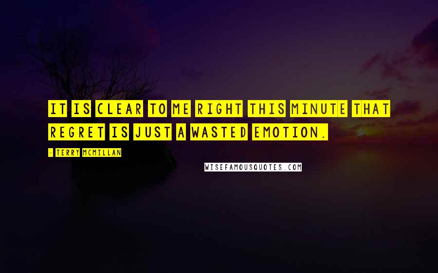 Terry McMillan Quotes: It is clear to me right this minute that regret is just a wasted emotion.