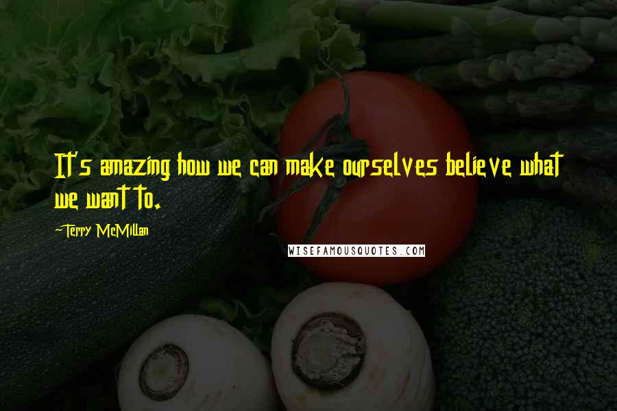 Terry McMillan Quotes: It's amazing how we can make ourselves believe what we want to.