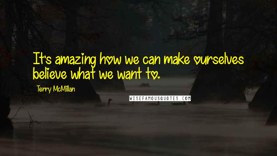 Terry McMillan Quotes: It's amazing how we can make ourselves believe what we want to.