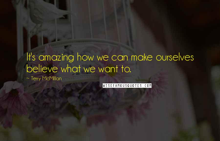 Terry McMillan Quotes: It's amazing how we can make ourselves believe what we want to.