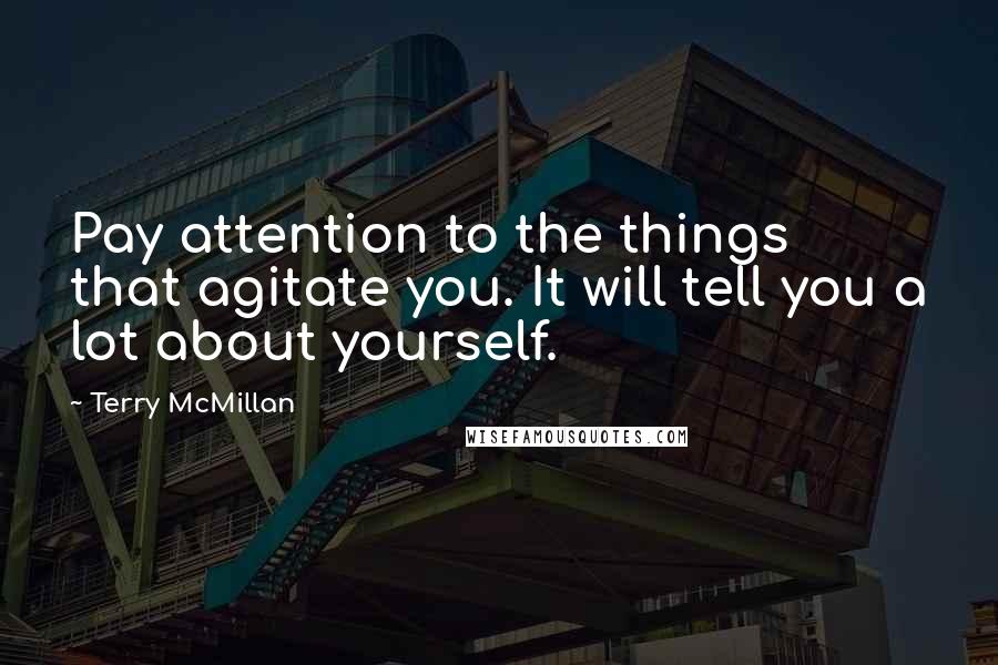 Terry McMillan Quotes: Pay attention to the things that agitate you. It will tell you a lot about yourself.