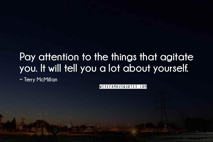 Terry McMillan Quotes: Pay attention to the things that agitate you. It will tell you a lot about yourself.