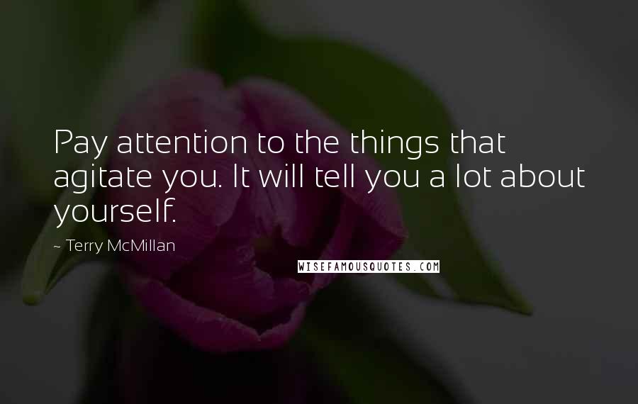 Terry McMillan Quotes: Pay attention to the things that agitate you. It will tell you a lot about yourself.