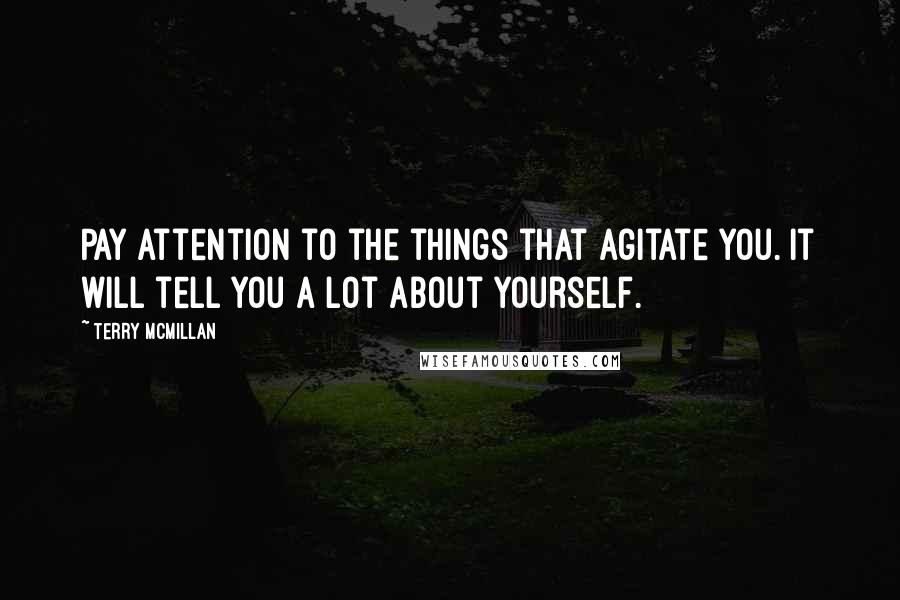 Terry McMillan Quotes: Pay attention to the things that agitate you. It will tell you a lot about yourself.