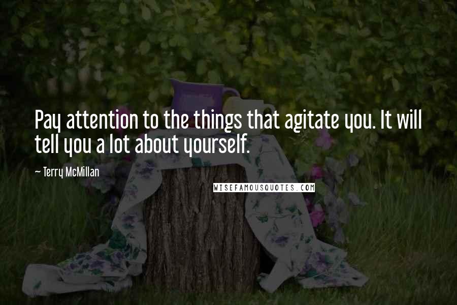 Terry McMillan Quotes: Pay attention to the things that agitate you. It will tell you a lot about yourself.