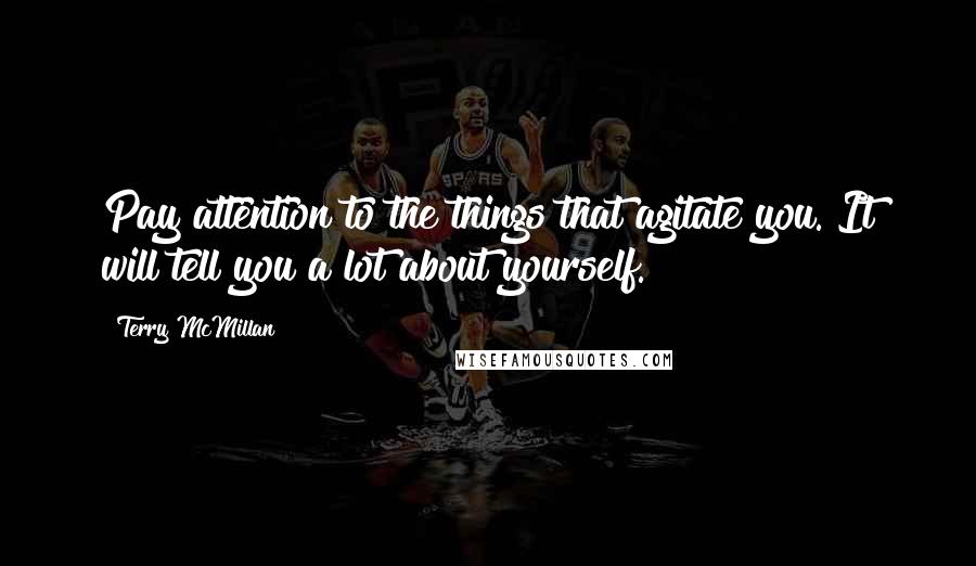 Terry McMillan Quotes: Pay attention to the things that agitate you. It will tell you a lot about yourself.