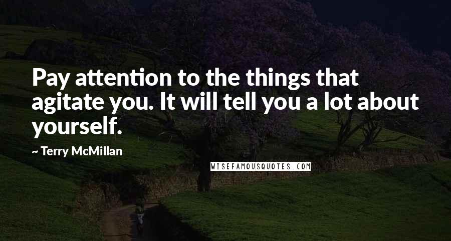 Terry McMillan Quotes: Pay attention to the things that agitate you. It will tell you a lot about yourself.