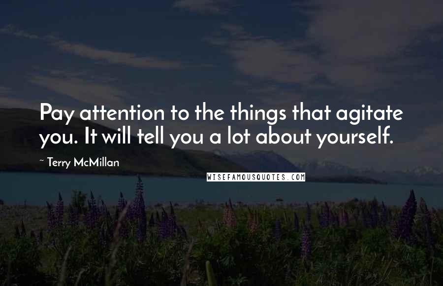 Terry McMillan Quotes: Pay attention to the things that agitate you. It will tell you a lot about yourself.