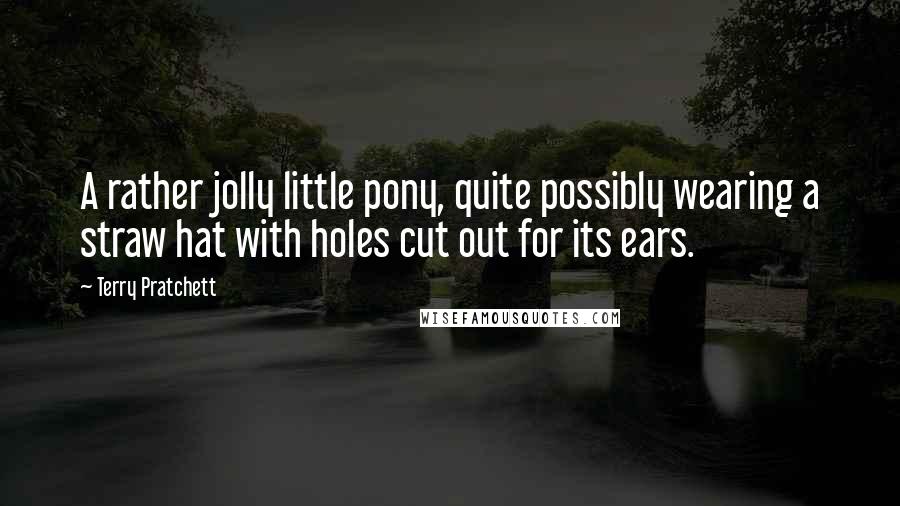 Terry Pratchett Quotes: A rather jolly little pony, quite possibly wearing a straw hat with holes cut out for its ears.