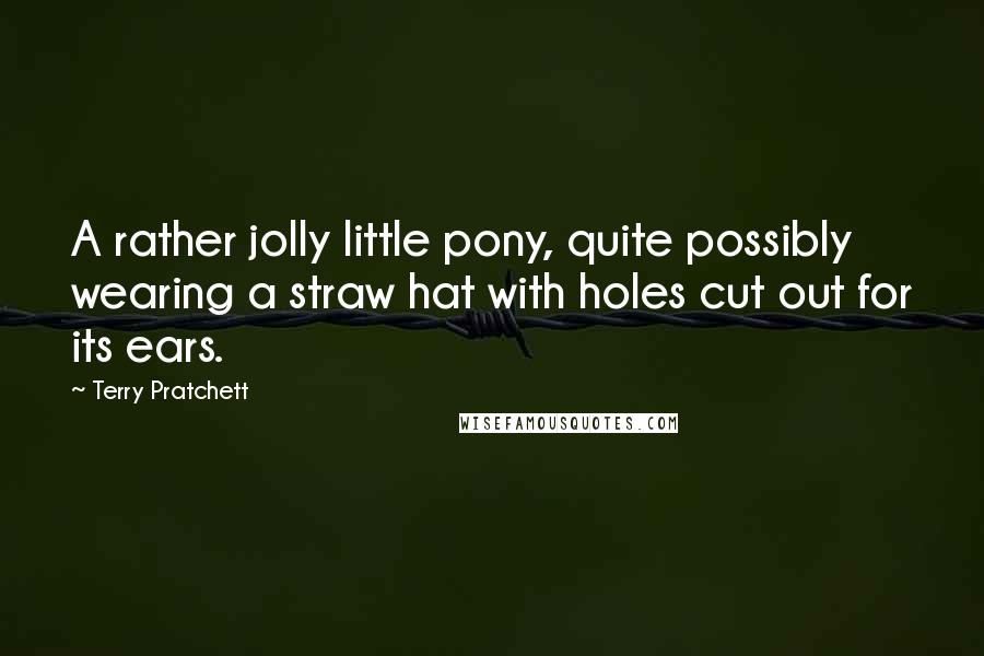 Terry Pratchett Quotes: A rather jolly little pony, quite possibly wearing a straw hat with holes cut out for its ears.