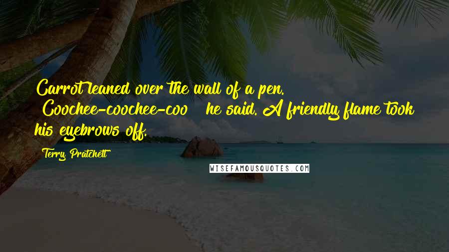 Terry Pratchett Quotes: Carrot leaned over the wall of a pen. "Coochee-coochee-coo?" he said. A friendly flame took his eyebrows off.