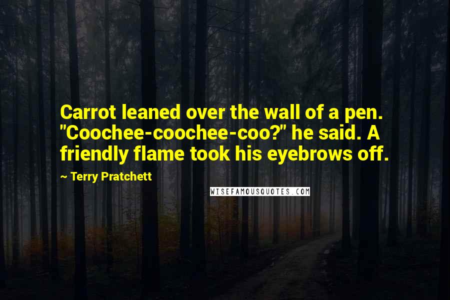 Terry Pratchett Quotes: Carrot leaned over the wall of a pen. "Coochee-coochee-coo?" he said. A friendly flame took his eyebrows off.