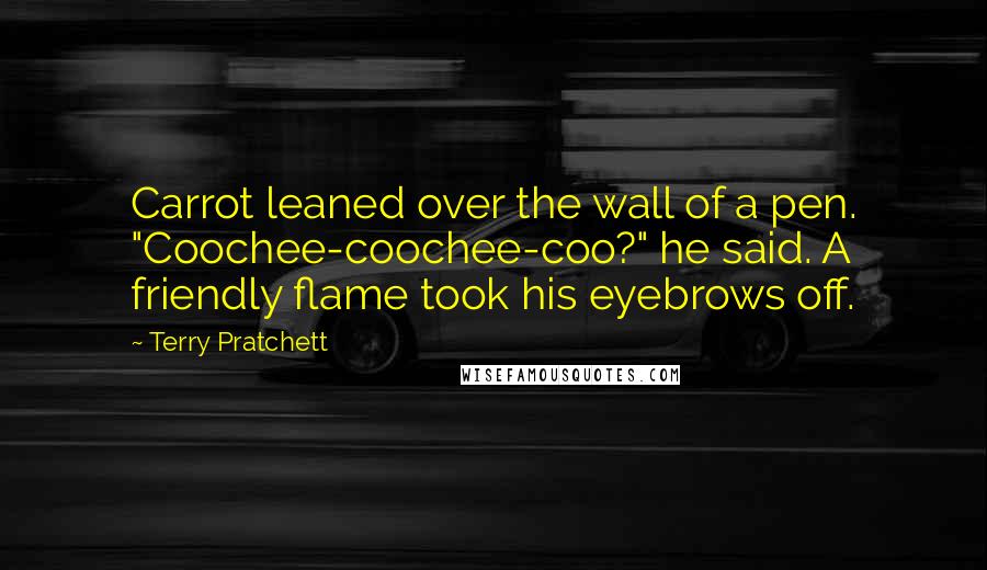 Terry Pratchett Quotes: Carrot leaned over the wall of a pen. "Coochee-coochee-coo?" he said. A friendly flame took his eyebrows off.