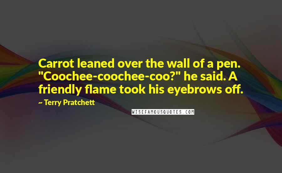 Terry Pratchett Quotes: Carrot leaned over the wall of a pen. "Coochee-coochee-coo?" he said. A friendly flame took his eyebrows off.