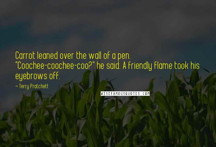 Terry Pratchett Quotes: Carrot leaned over the wall of a pen. "Coochee-coochee-coo?" he said. A friendly flame took his eyebrows off.