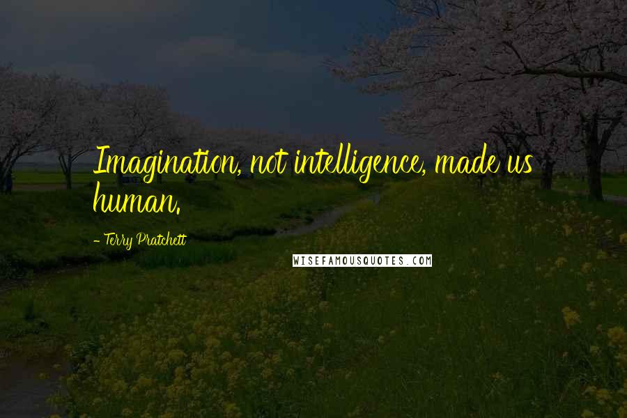 Terry Pratchett Quotes: Imagination, not intelligence, made us human.