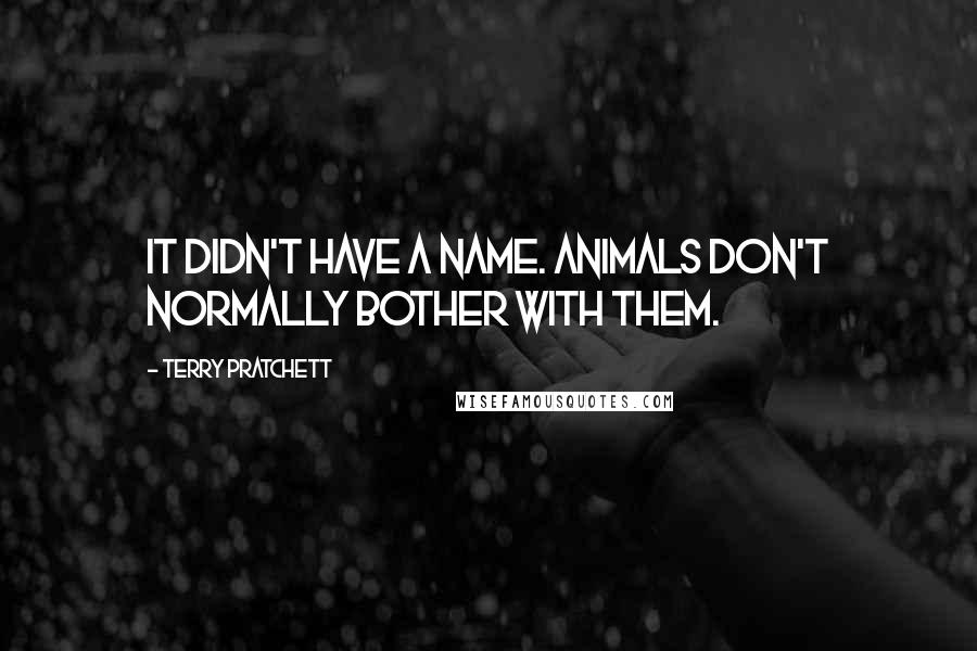 Terry Pratchett Quotes: It didn't have a name. Animals don't normally bother with them.