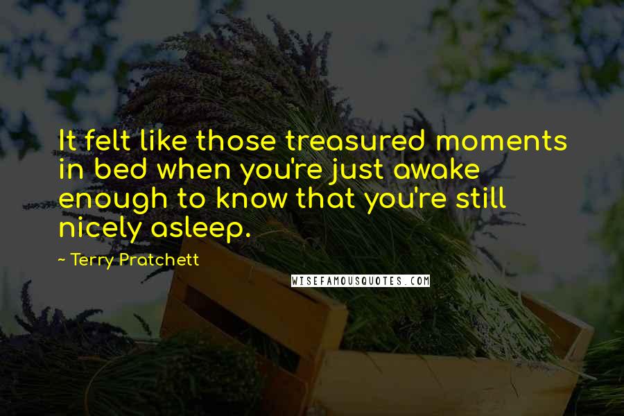 Terry Pratchett Quotes: It felt like those treasured moments in bed when you're just awake enough to know that you're still nicely asleep.