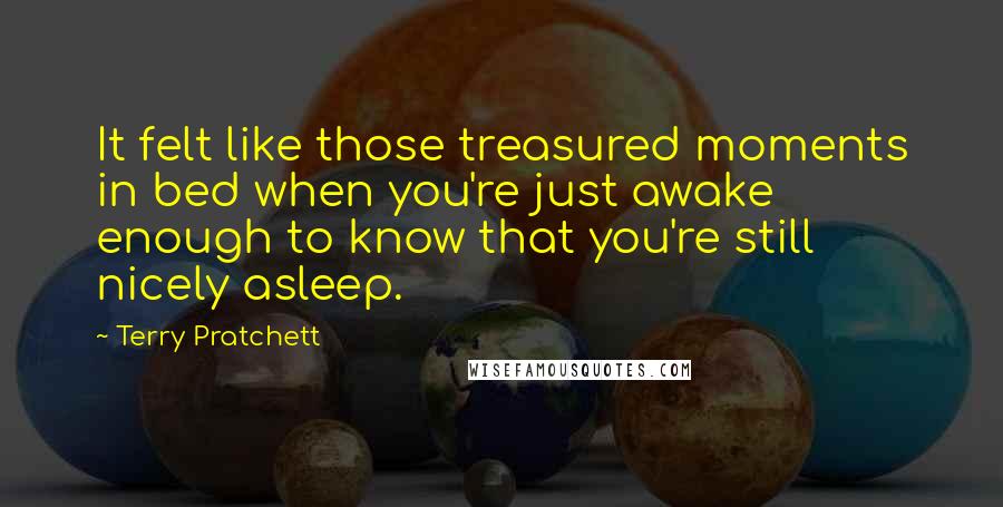 Terry Pratchett Quotes: It felt like those treasured moments in bed when you're just awake enough to know that you're still nicely asleep.