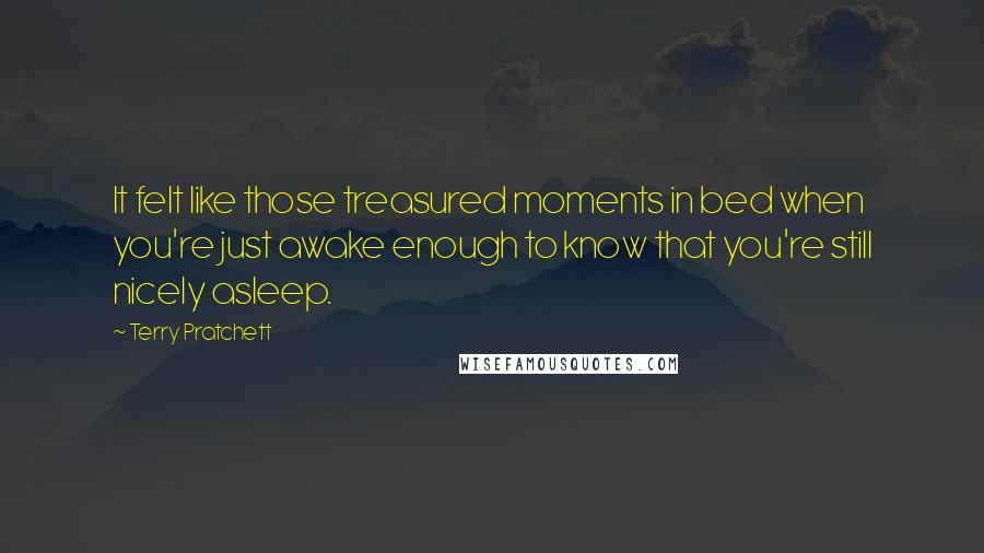 Terry Pratchett Quotes: It felt like those treasured moments in bed when you're just awake enough to know that you're still nicely asleep.