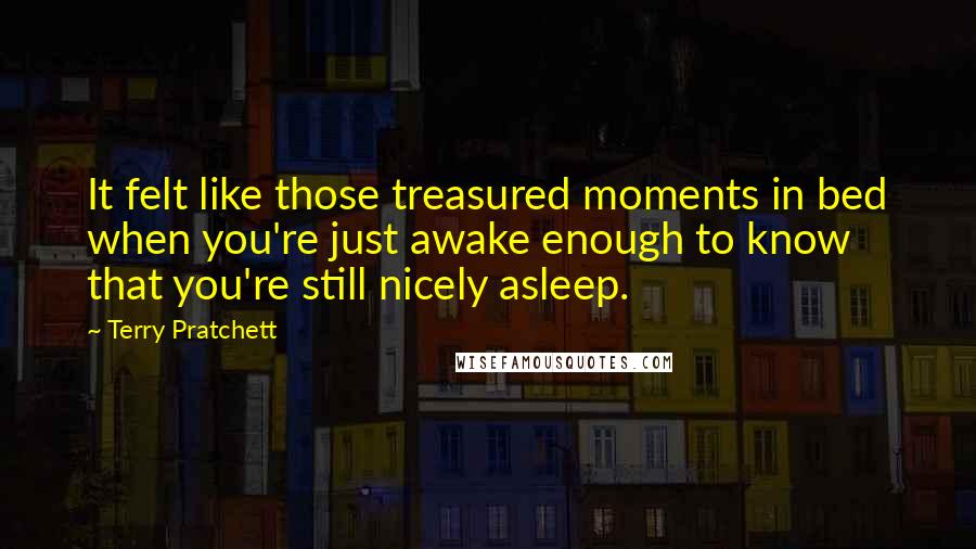 Terry Pratchett Quotes: It felt like those treasured moments in bed when you're just awake enough to know that you're still nicely asleep.