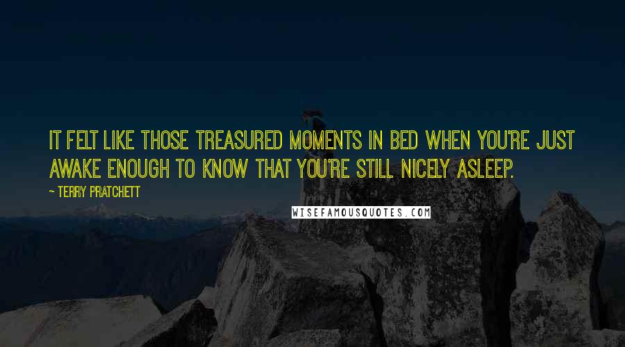 Terry Pratchett Quotes: It felt like those treasured moments in bed when you're just awake enough to know that you're still nicely asleep.