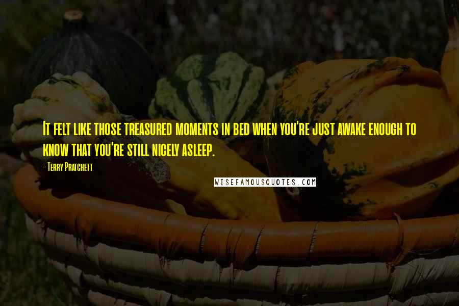 Terry Pratchett Quotes: It felt like those treasured moments in bed when you're just awake enough to know that you're still nicely asleep.