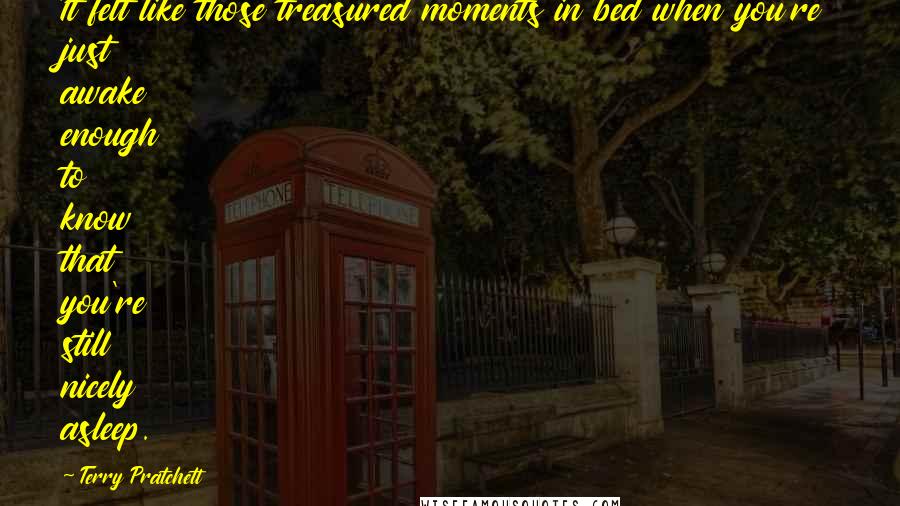 Terry Pratchett Quotes: It felt like those treasured moments in bed when you're just awake enough to know that you're still nicely asleep.